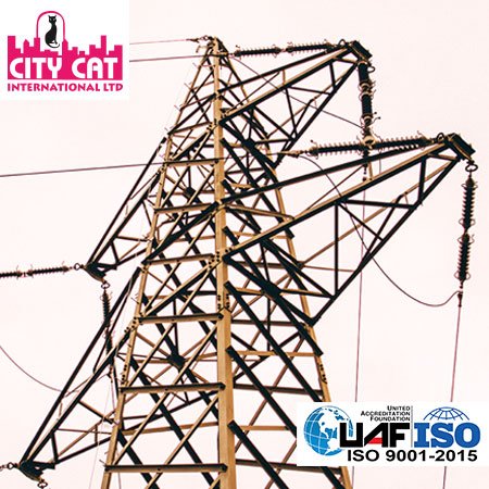 City Cat Electric Transmission Parts