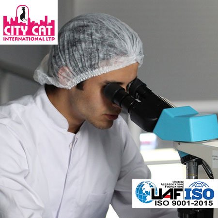 City Cat Lab Equipments