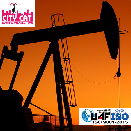 City Cat Oil and Gas Parts