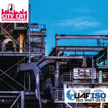City Cat Lab Equipments